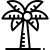 palmera palmera